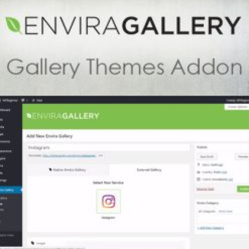 Envira Gallery – Instagram Addon