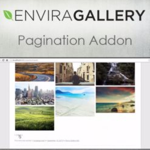Envira Gallery – Pagination Addon