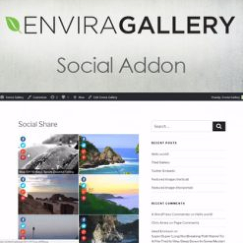 Envira Gallery – Social Addon