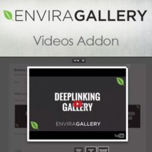 Envira Gallery – Videos Addon