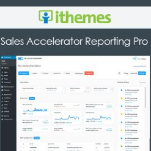 iThemes Sales Accelerator Reporting Pro