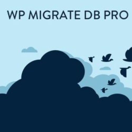 WP Migrate DB Pro